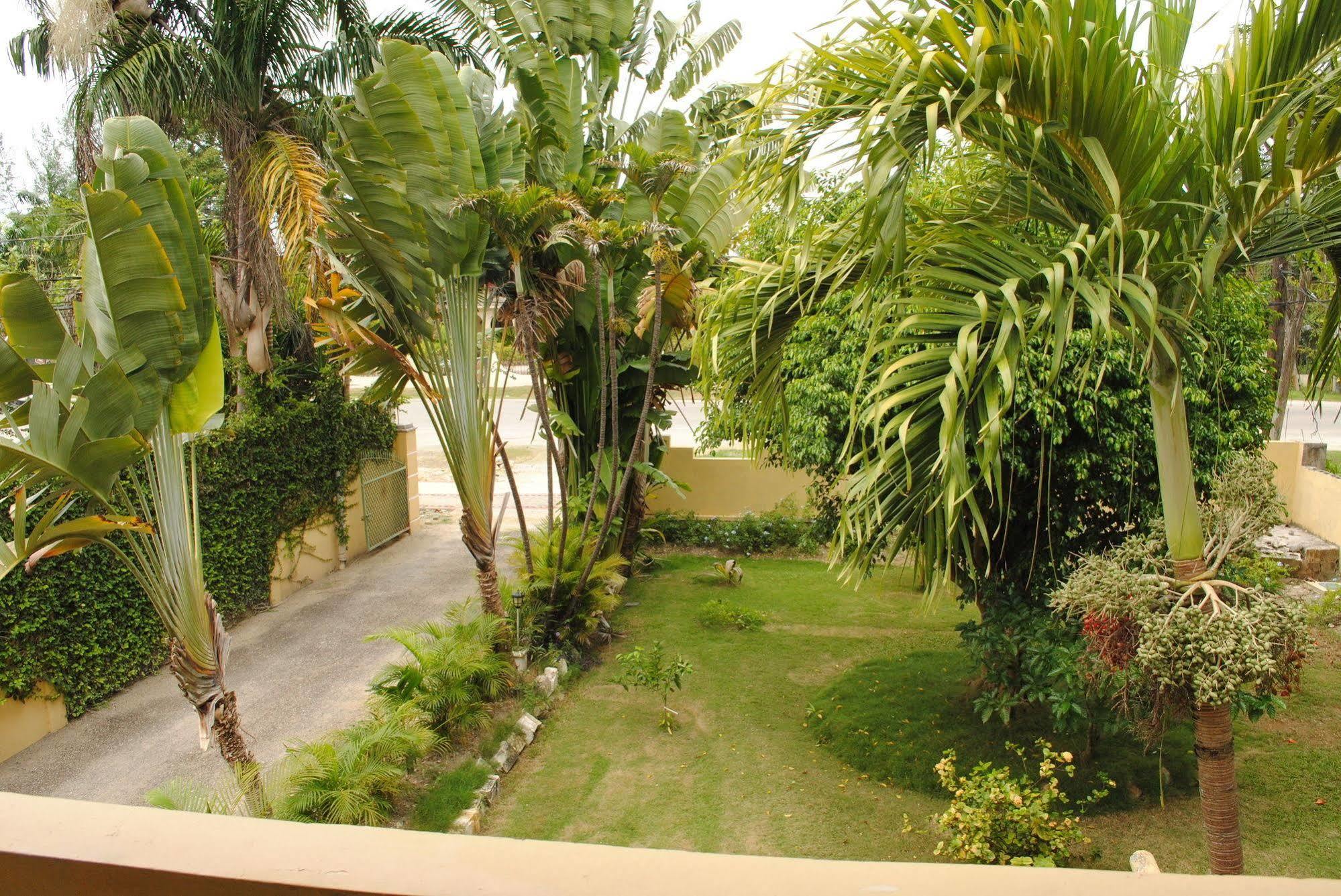 Moonrisevillas Negril Exteriör bild